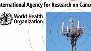 International Agency for Research on Cancer