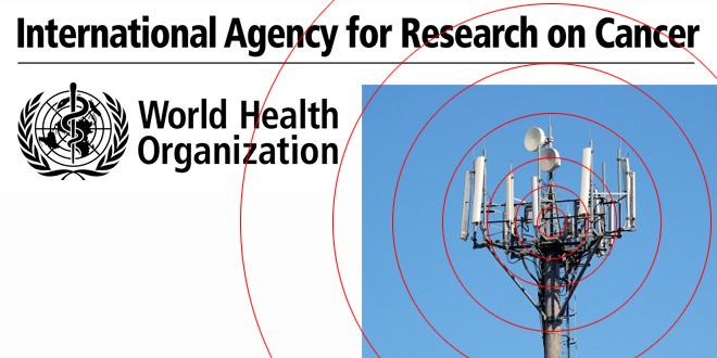 International Agency for Research on Cancer