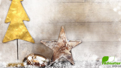 Fröhliche Weihnachten!