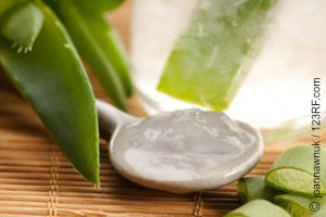 Aloe Vera, eine Medizin der Natur