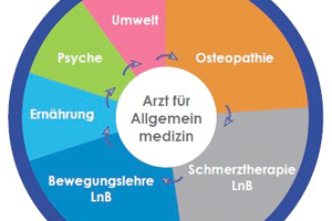 Konzept: Ganzheitliche Gesundheit » wirklich leben
