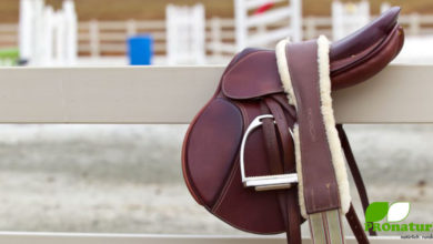 Passender Sattel fürs Reiten