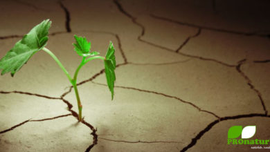 Wasser bringt Leben, Wasser ist Leben! 8 Leben braucht Wasser