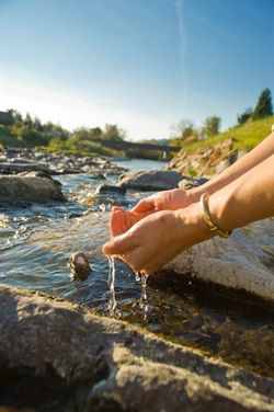Wasser finden mit der Rute