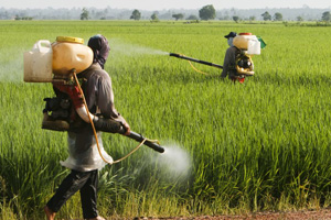 Pestizide in der Landwirtschaft
