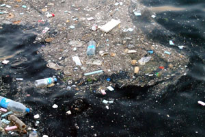 Gesunde wertvolle Nahrung sieht anders aus - MIKROPLASTIK! 2 Verschmutzung der Meere mit Plastik